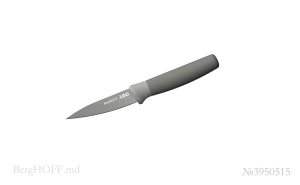 berghoffmd_3950515