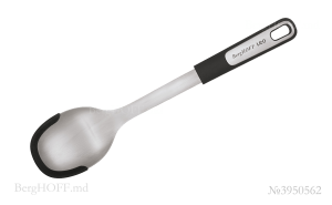 berghoffmd_3950562