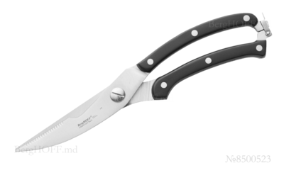 Berghoffmd_8500523.png