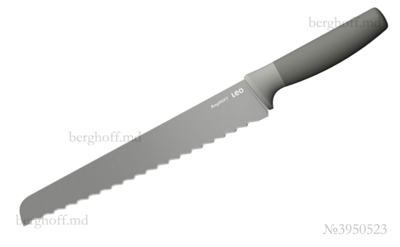 Berghoffmd_3950523.png
